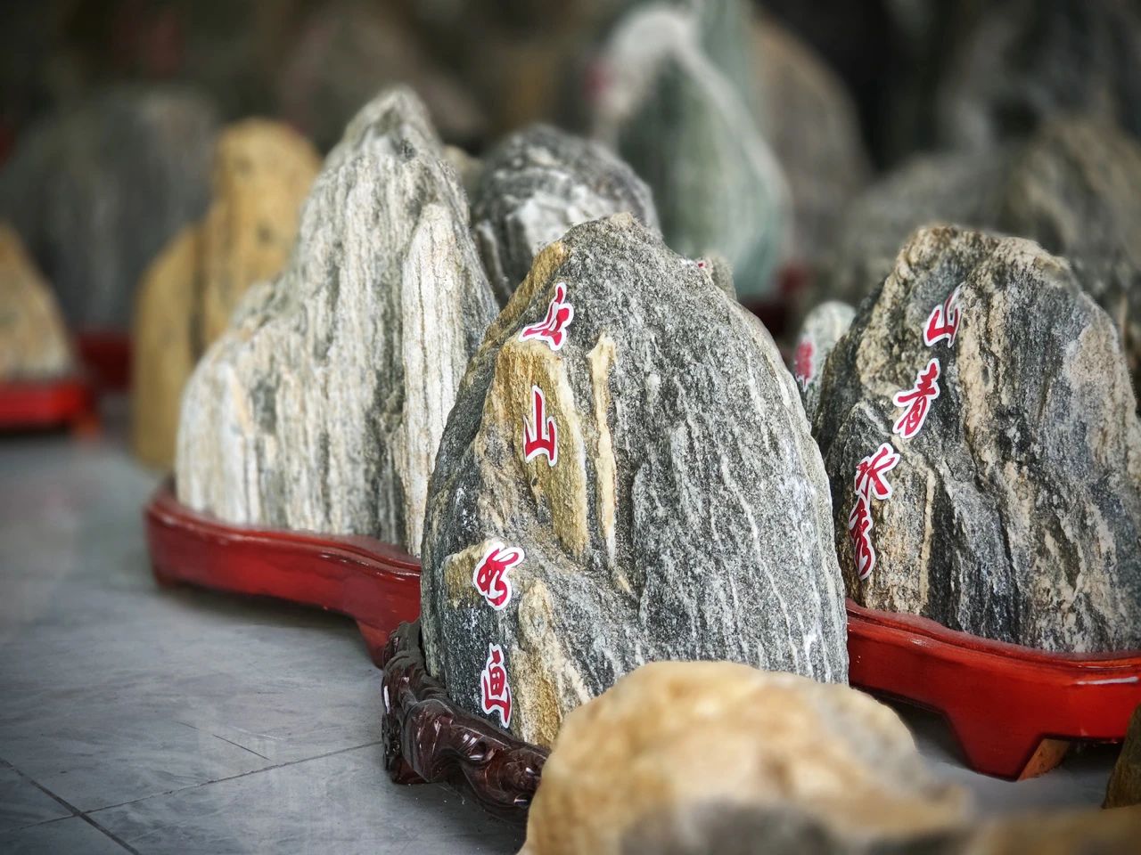微信图片_2025-07-25_104420_605.jpg