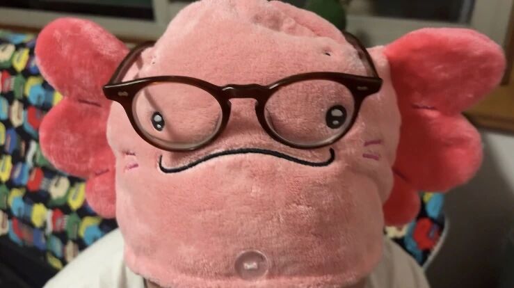 1766045053388732.jpg 21.jpg