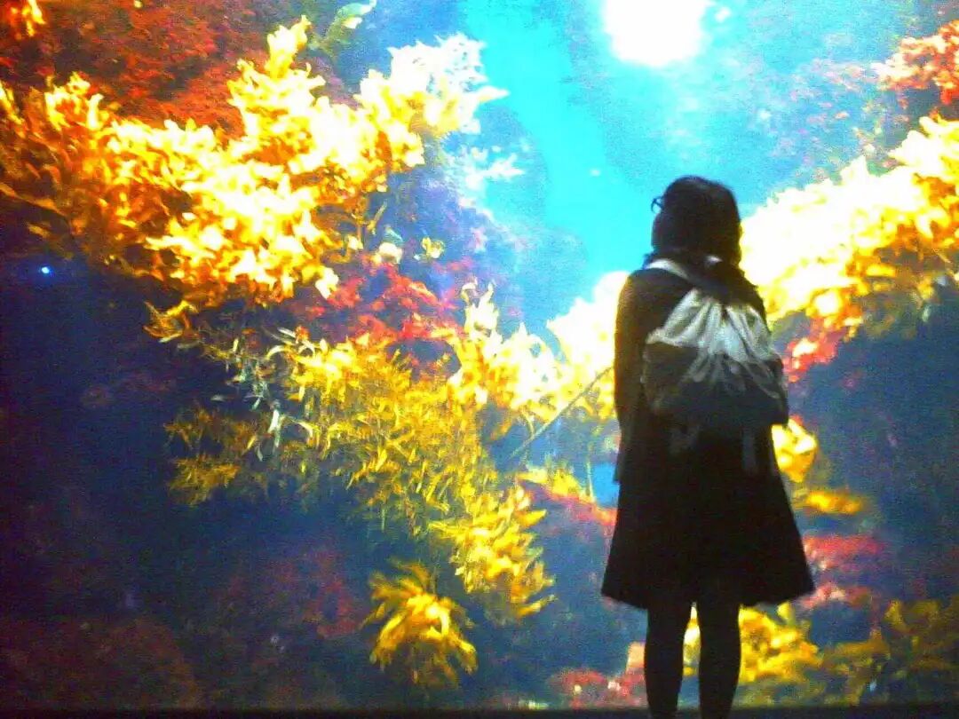 1766045863715162.jpg 37.jpg