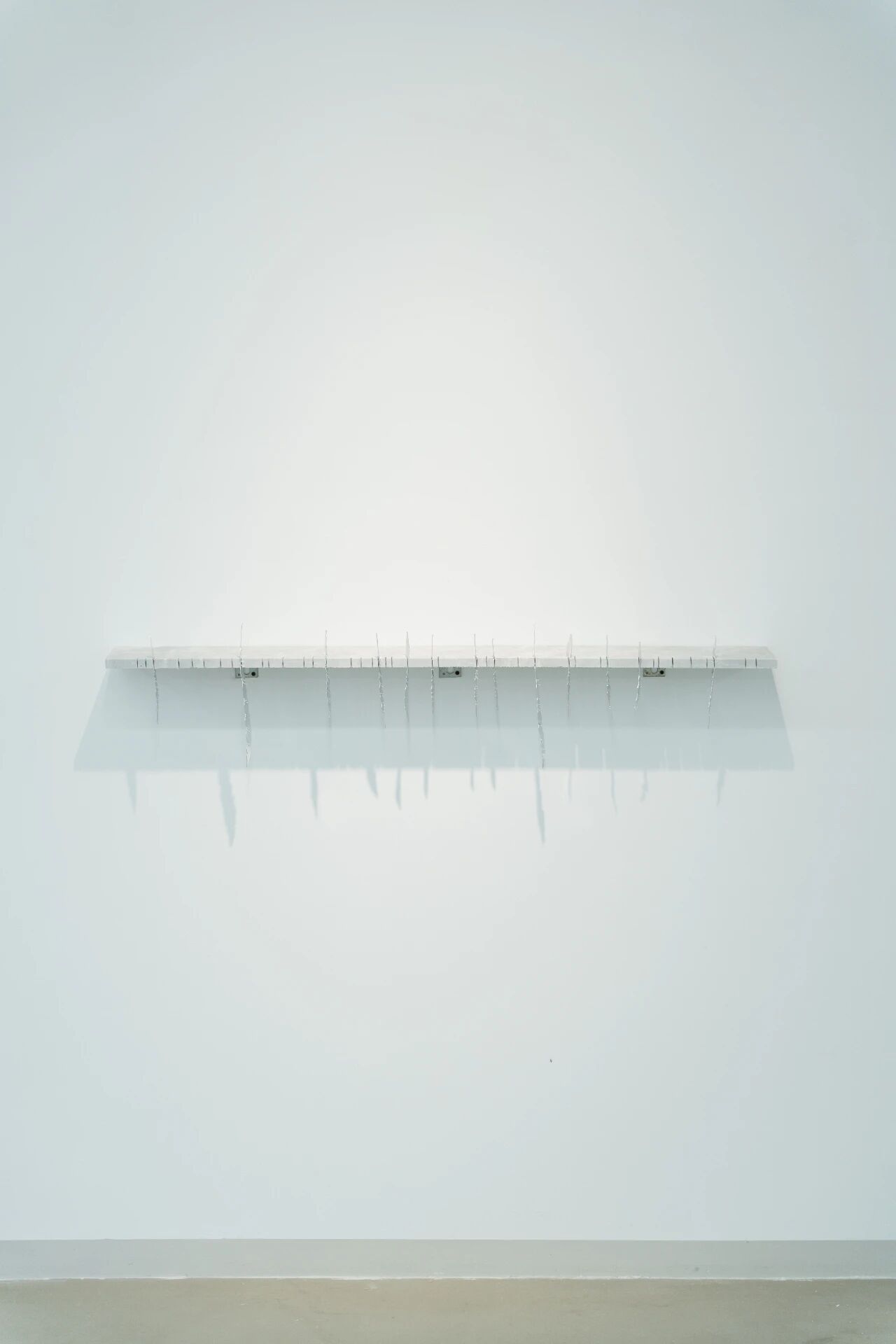 1769578527262383.jpg 微信图片_2026-01-28_091241_204.jpg