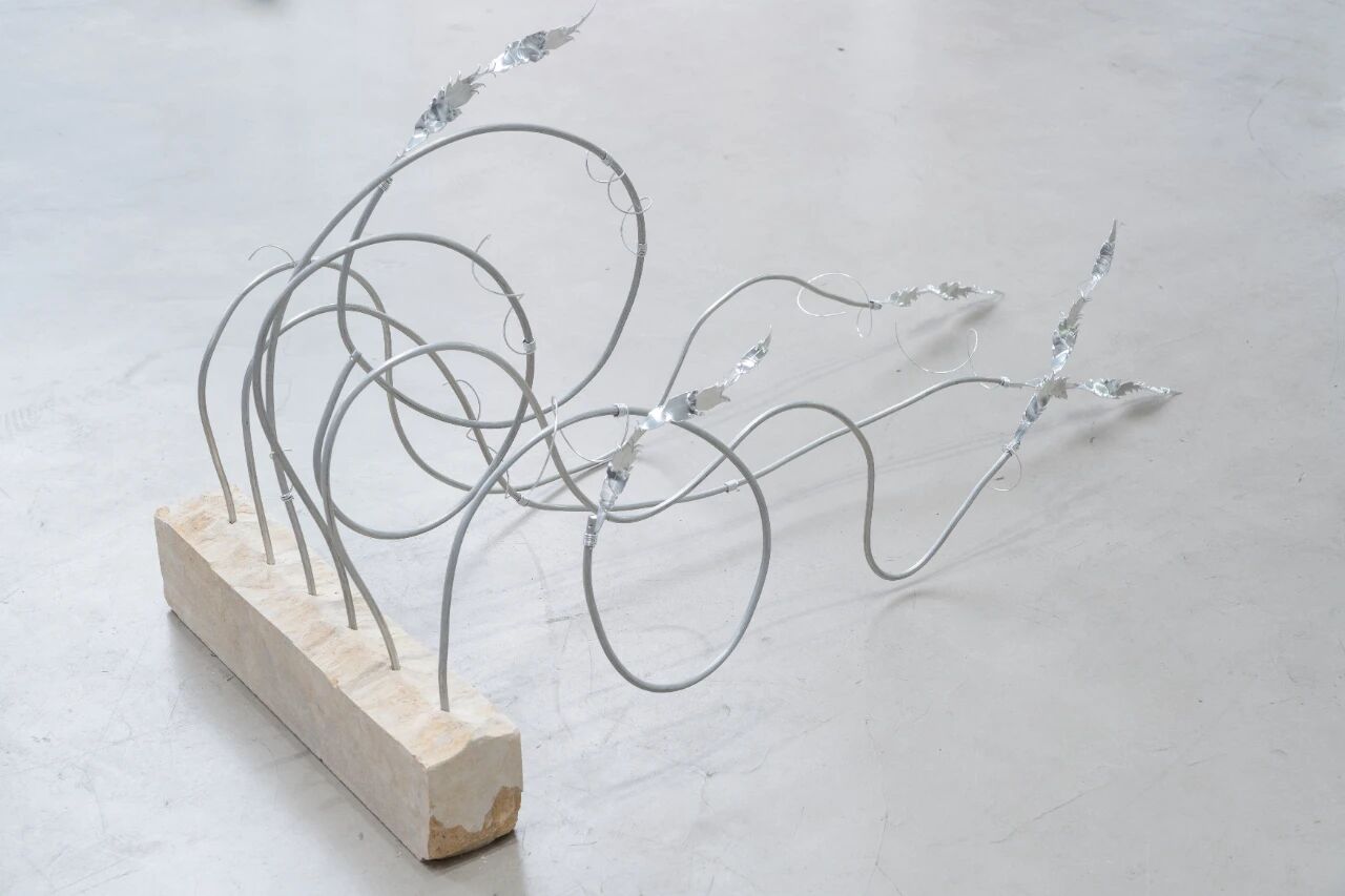 1769578532162879.jpg 微信图片_2026-01-28_091248_103.jpg