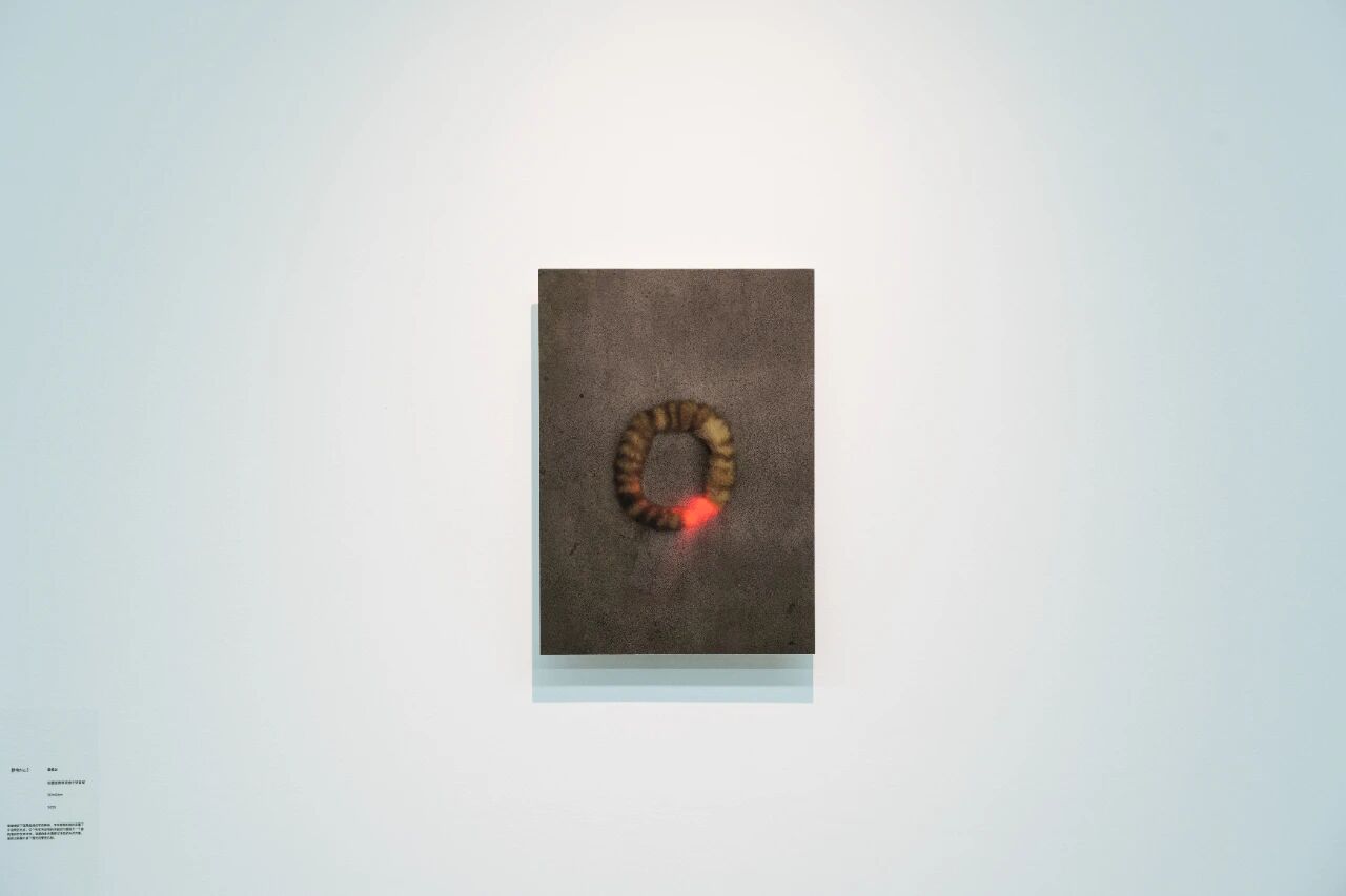 1769578653640073.jpg 微信图片_2026-01-28_091307_879.jpg