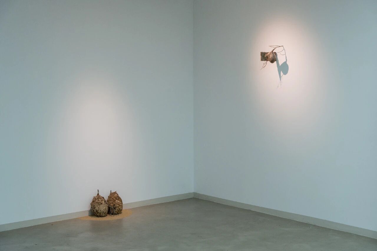 1769578657611570.jpg 微信图片_2026-01-28_091313_235.jpg