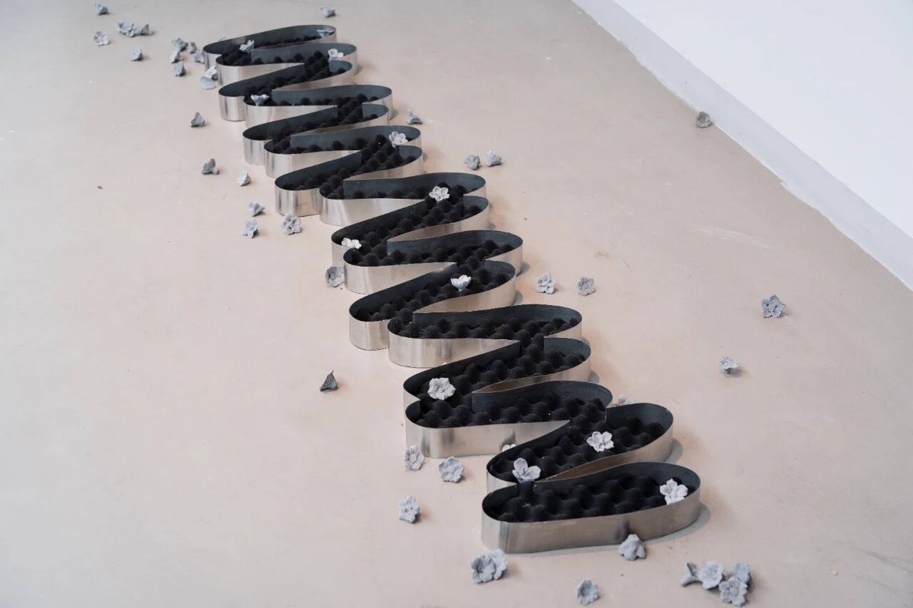 1769578662511524.jpg 微信图片_2026-01-28_091319_061.jpg