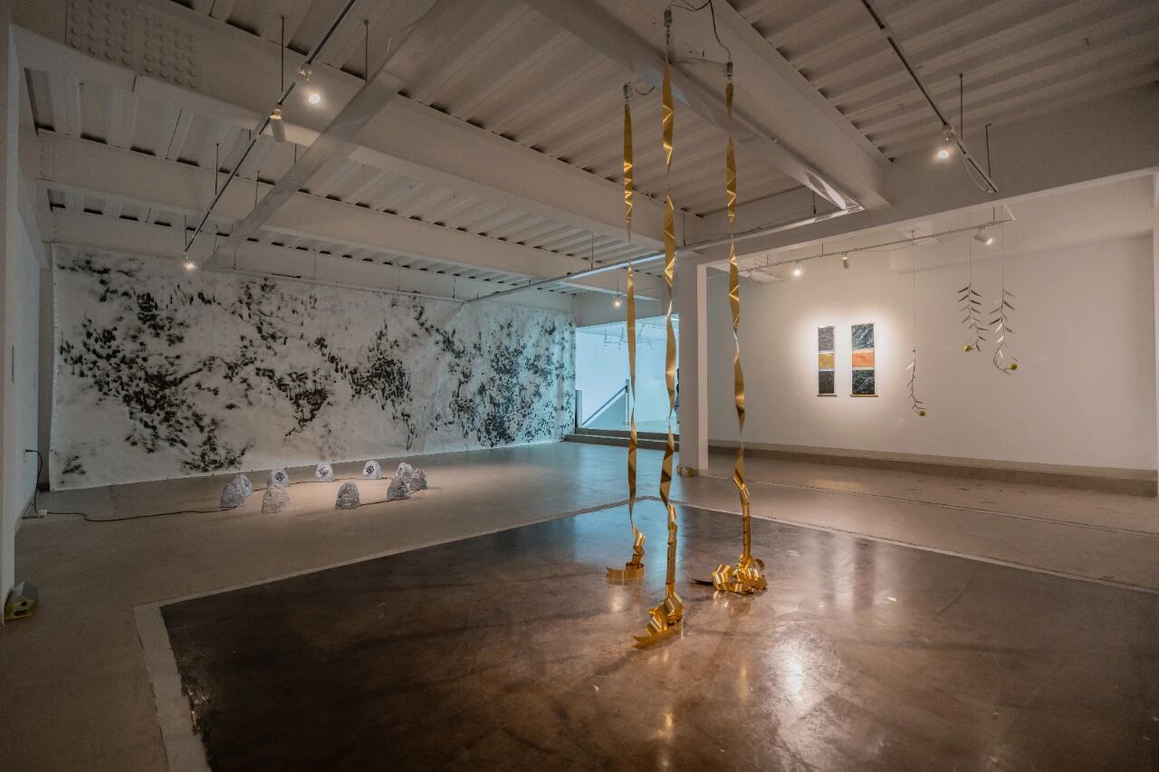 1769578693606984.jpg 微信图片_2026-01-28_091354_175.jpg