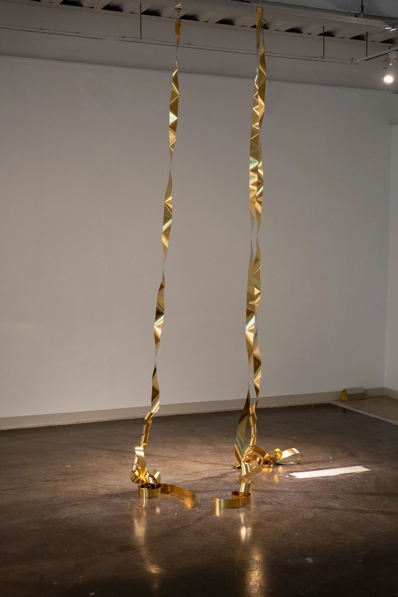 1769578701440174.jpg 微信图片_2026-01-28_091403_909.jpg